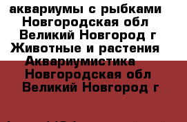 аквариумы с рыбками - Новгородская обл., Великий Новгород г. Животные и растения » Аквариумистика   . Новгородская обл.,Великий Новгород г.